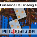 Ginseng Power X 25